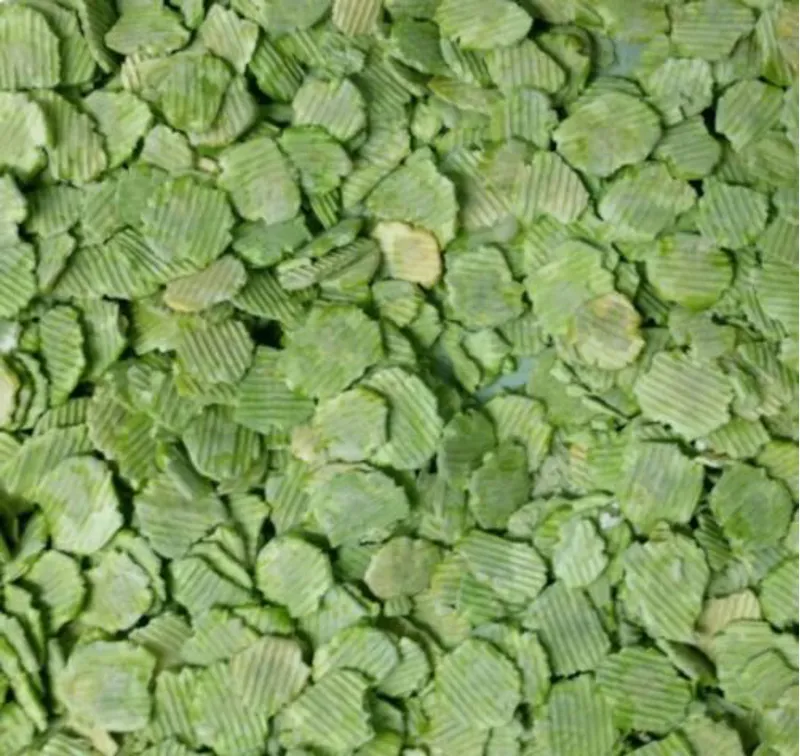 RSA Micronised Flaked Peas 20kg